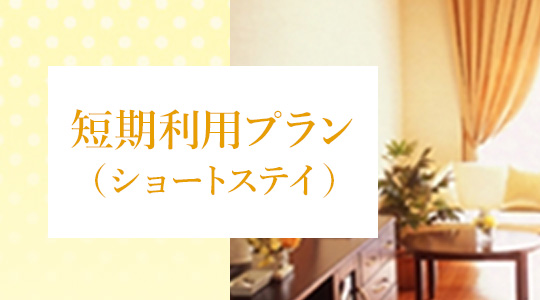 短期利用プラン（ショートステイ）