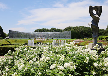 神代植物公園