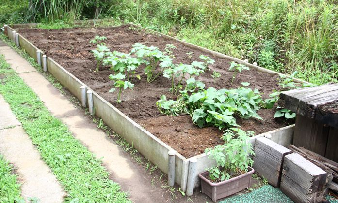 四季折々の作物を楽しめる菜園