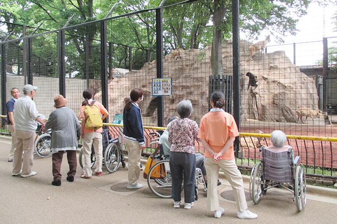 動物園見学