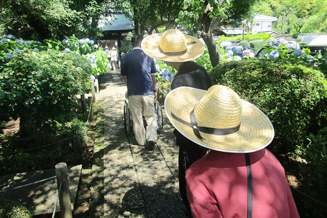 外出レクリエーションあじさい寺