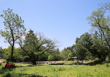 美しが丘公園